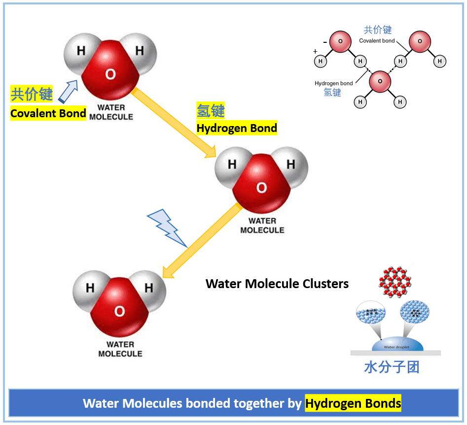 hydrogen bond water molecule cluster