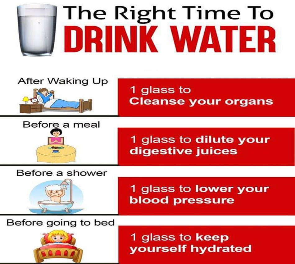 timing to drink water